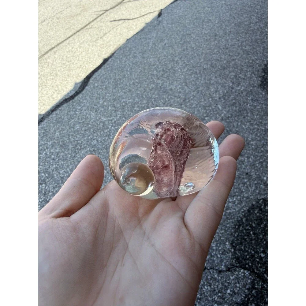 Vintage SeaShell Shaped Paperweight Clear 3